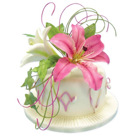 Cortadores con expulsor lirio