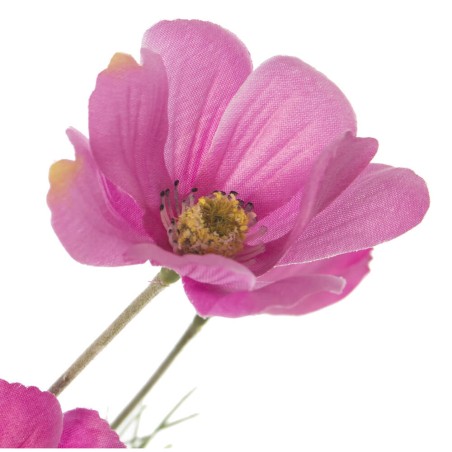 RAMA MARGARITA FUCSIA 