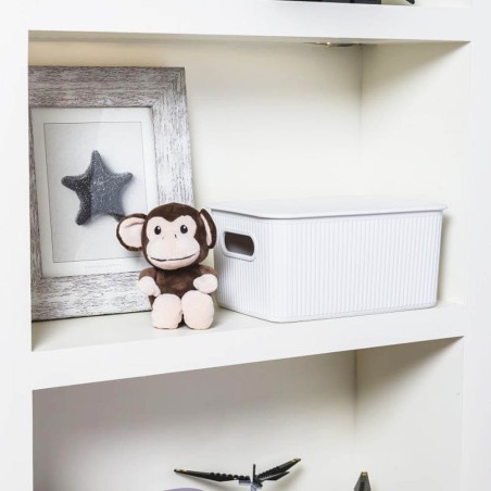 CESTO ALMACENAJE 5L BLANCO