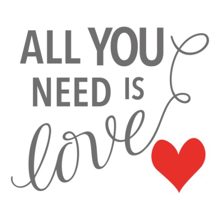 VINILO 20X18CM NEED LOVE