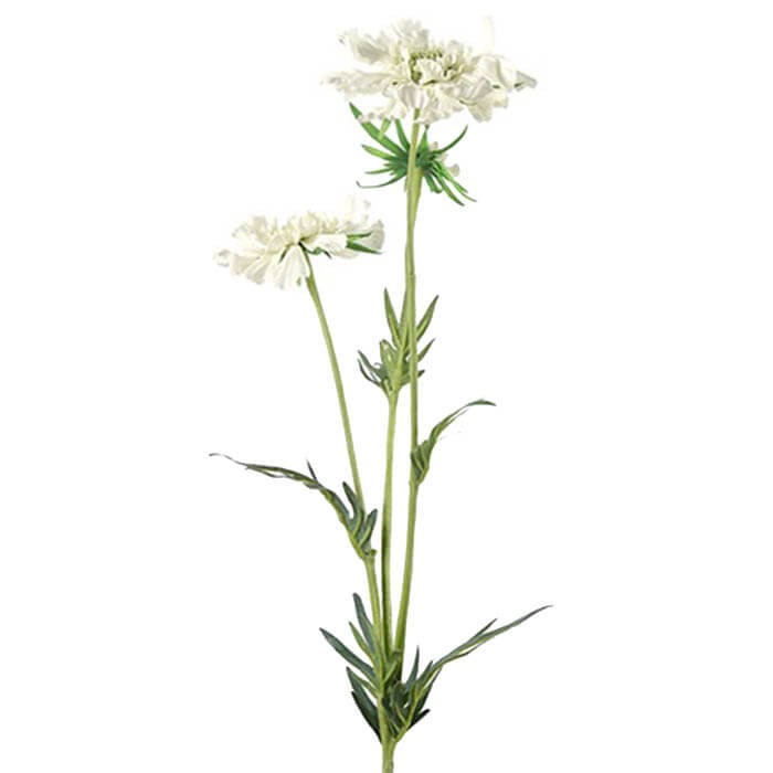 FLOR ARTIFICIAL SCABIOSA CREMA