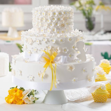 Set cortadores petunia