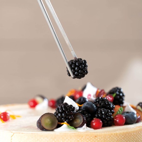 Pinzas de emplatar 14cm acero