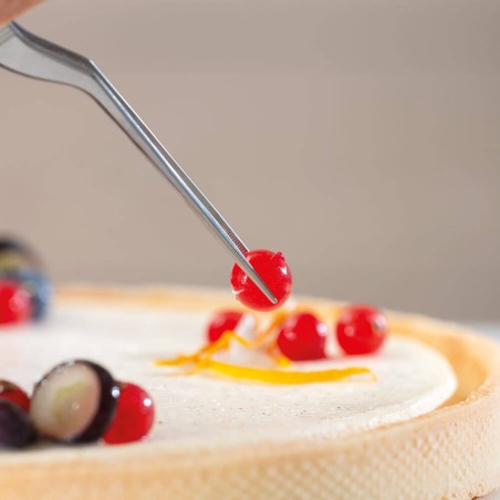 Pinza de emplatar 21cm inox