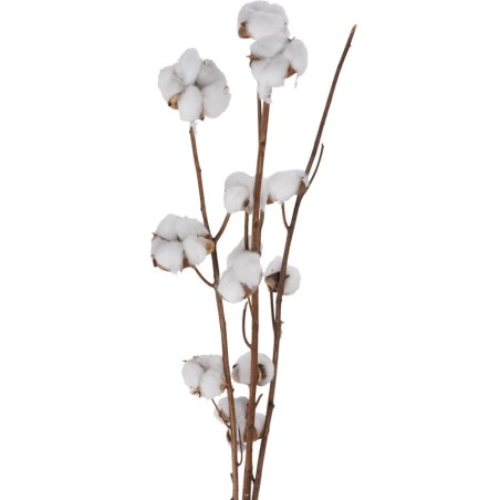 4 ramas flor de algodón 90cm