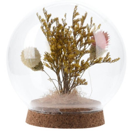 Cúpula cristal flores secas