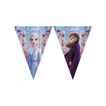 BANDERIN FROZEN 2 