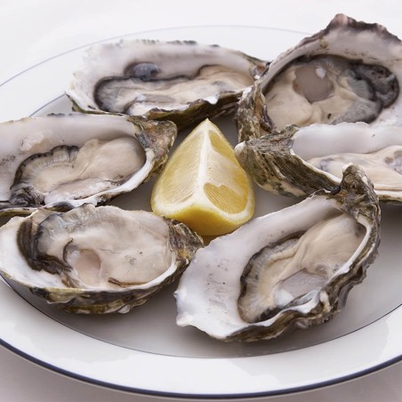 KIT 5PIEZAS OSTRAS CAJA 