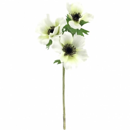 ANEMONA BLANCA X3 