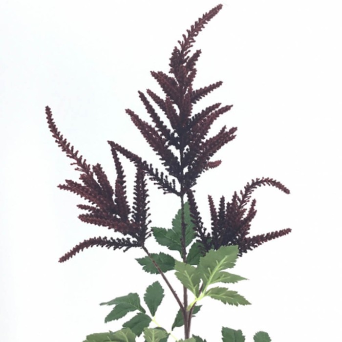 ERICA MALVA X3 1 METRO 