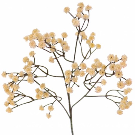 GIPSOFILA MOSTAZA VINTAGE 