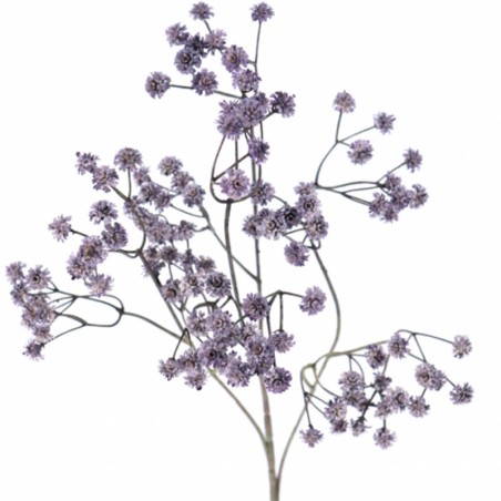 GIPSOFILA MALVA VINTAGE 