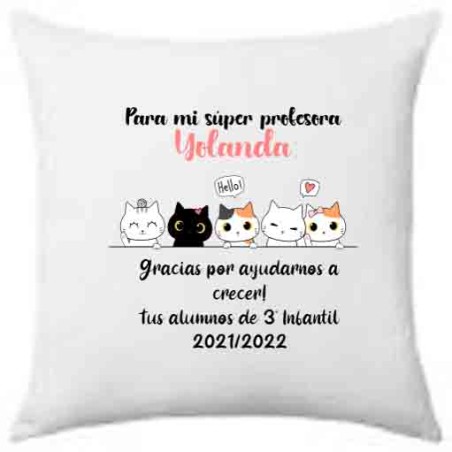 Cojín profesor - Gatos