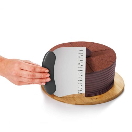 RASPADOR 15 x 1.6 x 12 cm