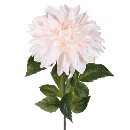 FLOR ZINNIA ELEGANCE CREMA 