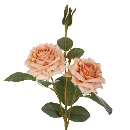 RAMO ROSA MEDIANA NARANJA