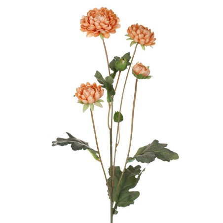  CRISANTEMO NARANJA SIENA