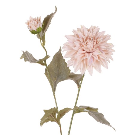 FLOR DALIA BLANCO OTOÑAL