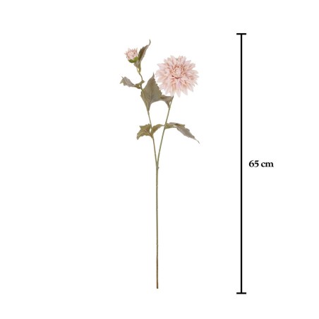 FLOR DALIA BLANCO OTOÑAL