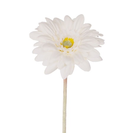 GERBERA PEQUEÑA BLANCO 