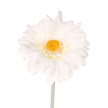 FLOR GERBERA BLANCO 