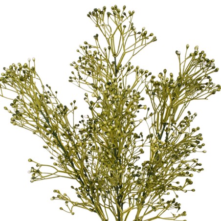 RAMA PANICULATA BLANCO 