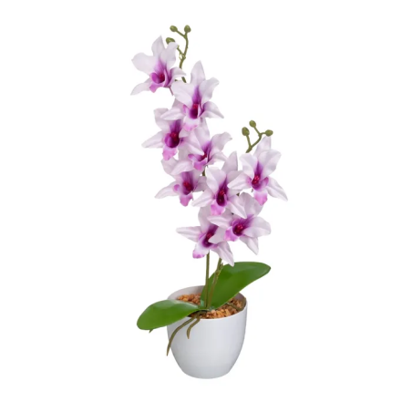 PLANTA ORQUIDEA 15X15X43 