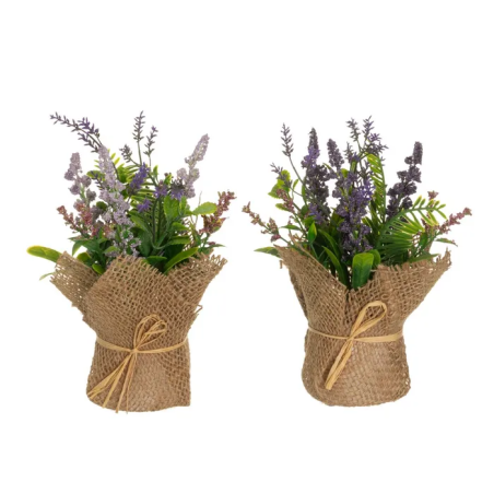 PANTA LAVANDA 12X12X19