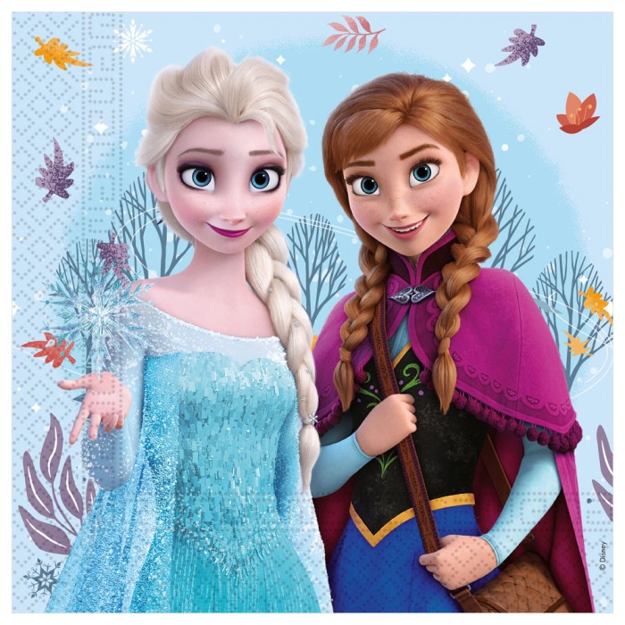 20 Servilletas de Papel de 2 Capas 33X33 