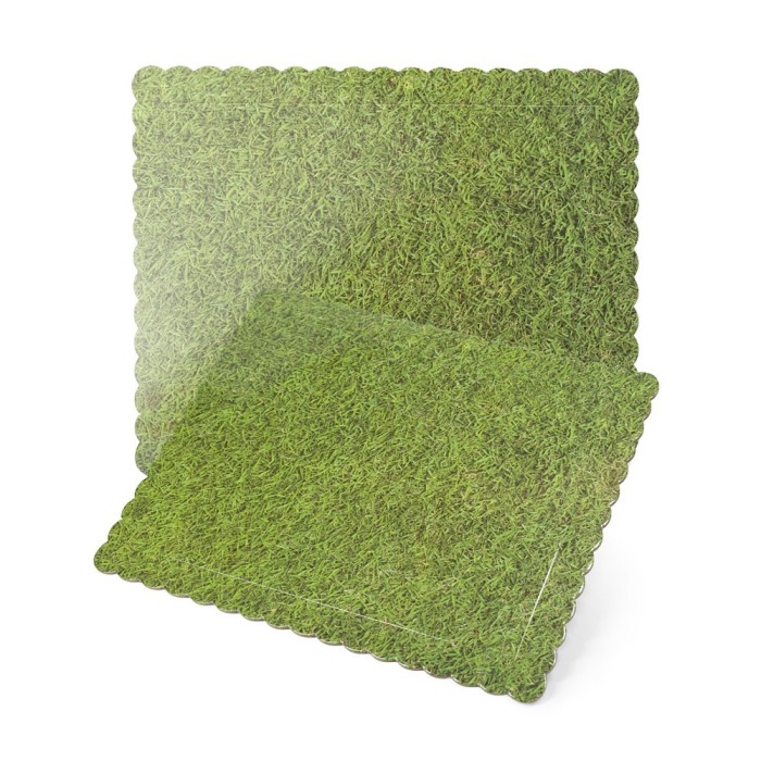 BASE CESPED 30X25CM /3MM RECTANGULAR