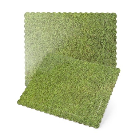 BASE CESPED 30X25CM /3MM RECTANGULAR