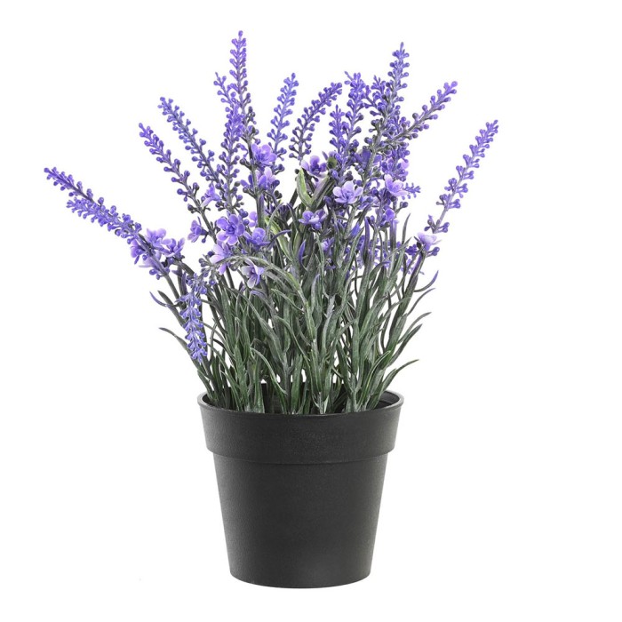 PLANTA LAVANDA LILA 15X15X27CM
