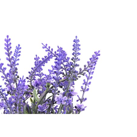 PLANTA LAVANDA LILA 15X15X27CM
