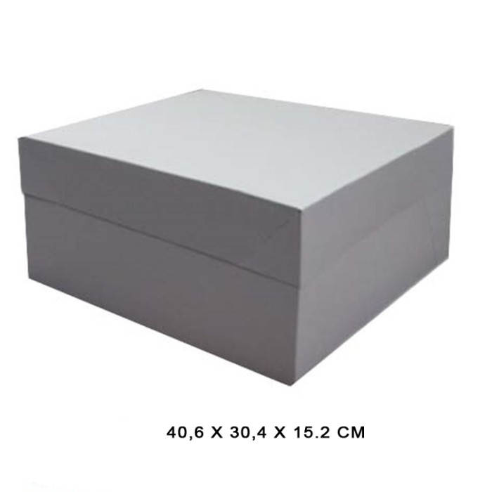 CAJA 40.6 X 30.04X15.2 CM TARTA BLANCA