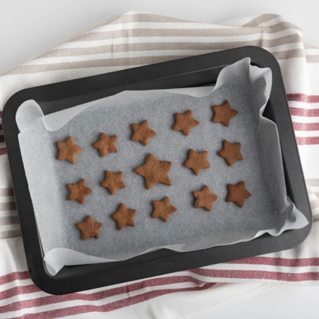 BANDEJA HORNO 48X33.5X 0.5 PLANA