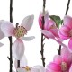 magnolia artificial