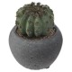 cactus artificial