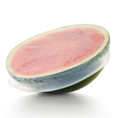 TAPA DE SILICONA 26CM