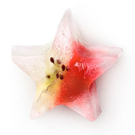 BANDEJA DE HIELOS - ESTRELLA