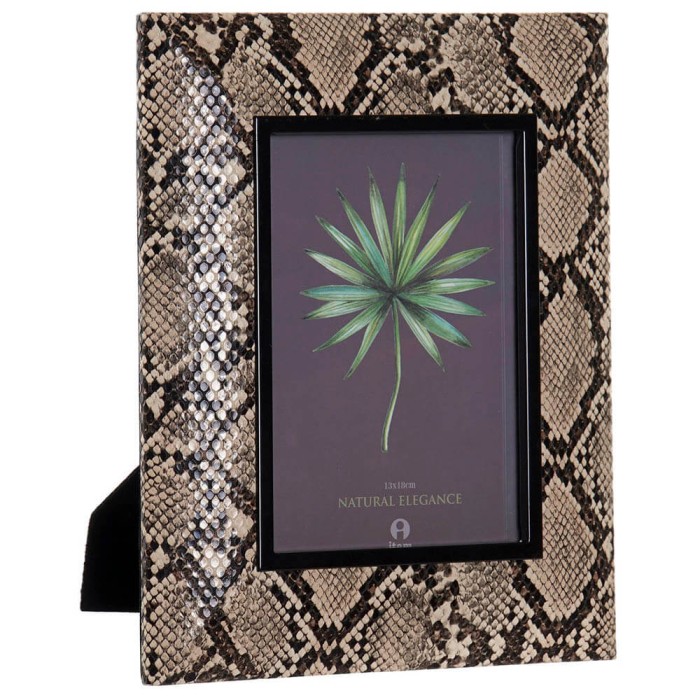 MARCO DE FOTOS SERPIENTE