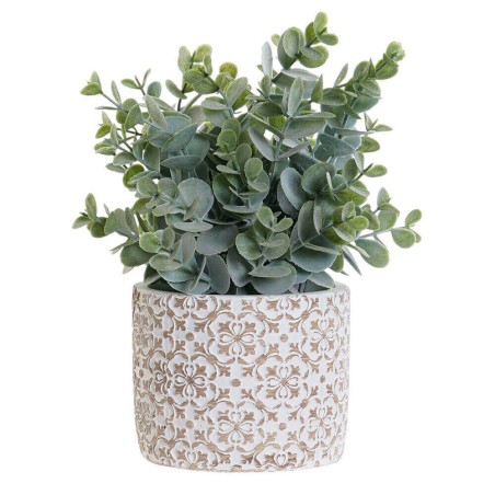 PLANTA RERSINA 10.5X10.5X24CM 