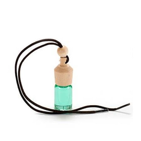 AMBIENTADOR COCHE DAMA NOCHE