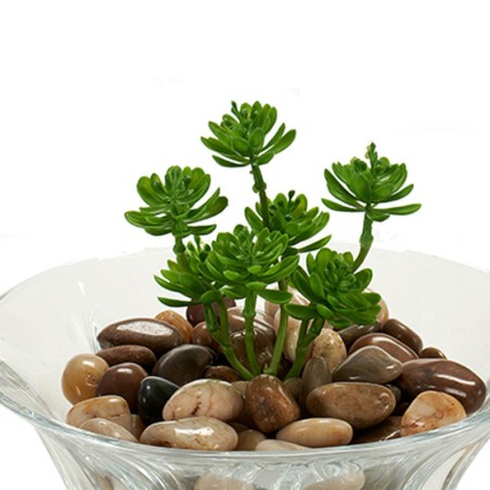 PIEDRAS DECORATIVAS 1KG