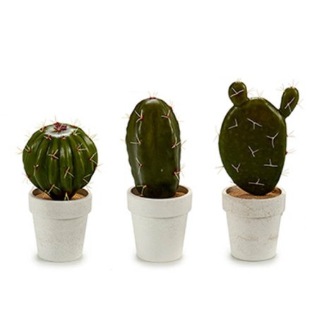 CACTUS GRANDE EN MACETA