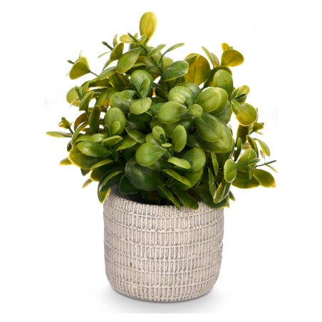 Planta artificial en maceta clara