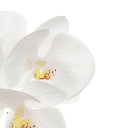 Orquídea artificial blanca