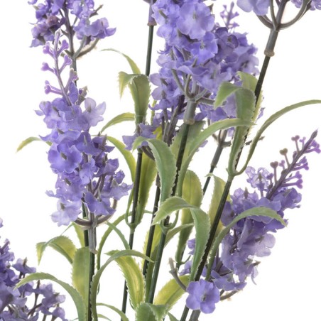 RAMO LAVANDA 